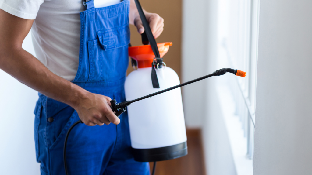 Be Pro Pest Control